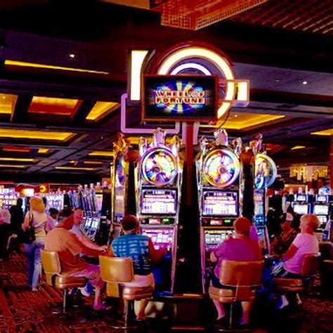 live casino hotel 7002 arundel mills cir 7777 deutschen Casino Test 2023